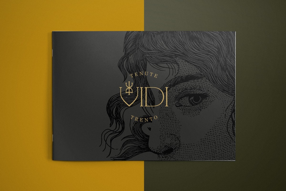 Tenute Vidi