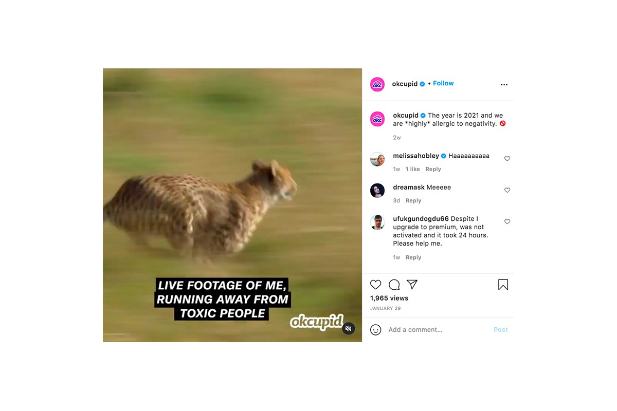 Parsifal-meme-marketing-for-dummies