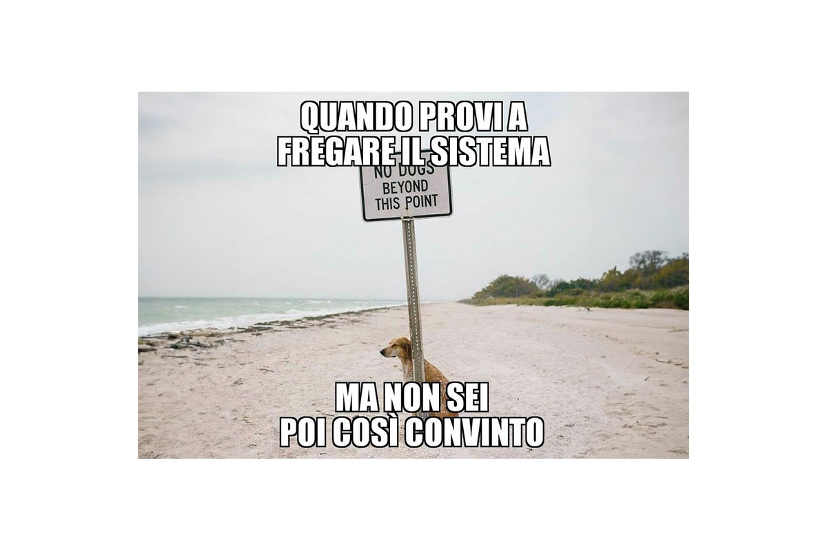 Parsifal-meme-marketing-for-dummies