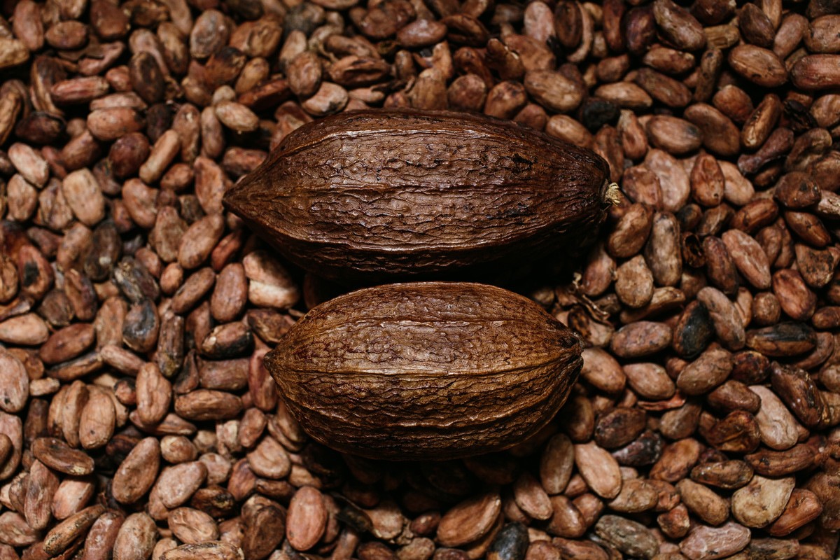 Parsifal-baule-volante-quando-il-packaging-del-cioccolato-si-fa-avvolgente