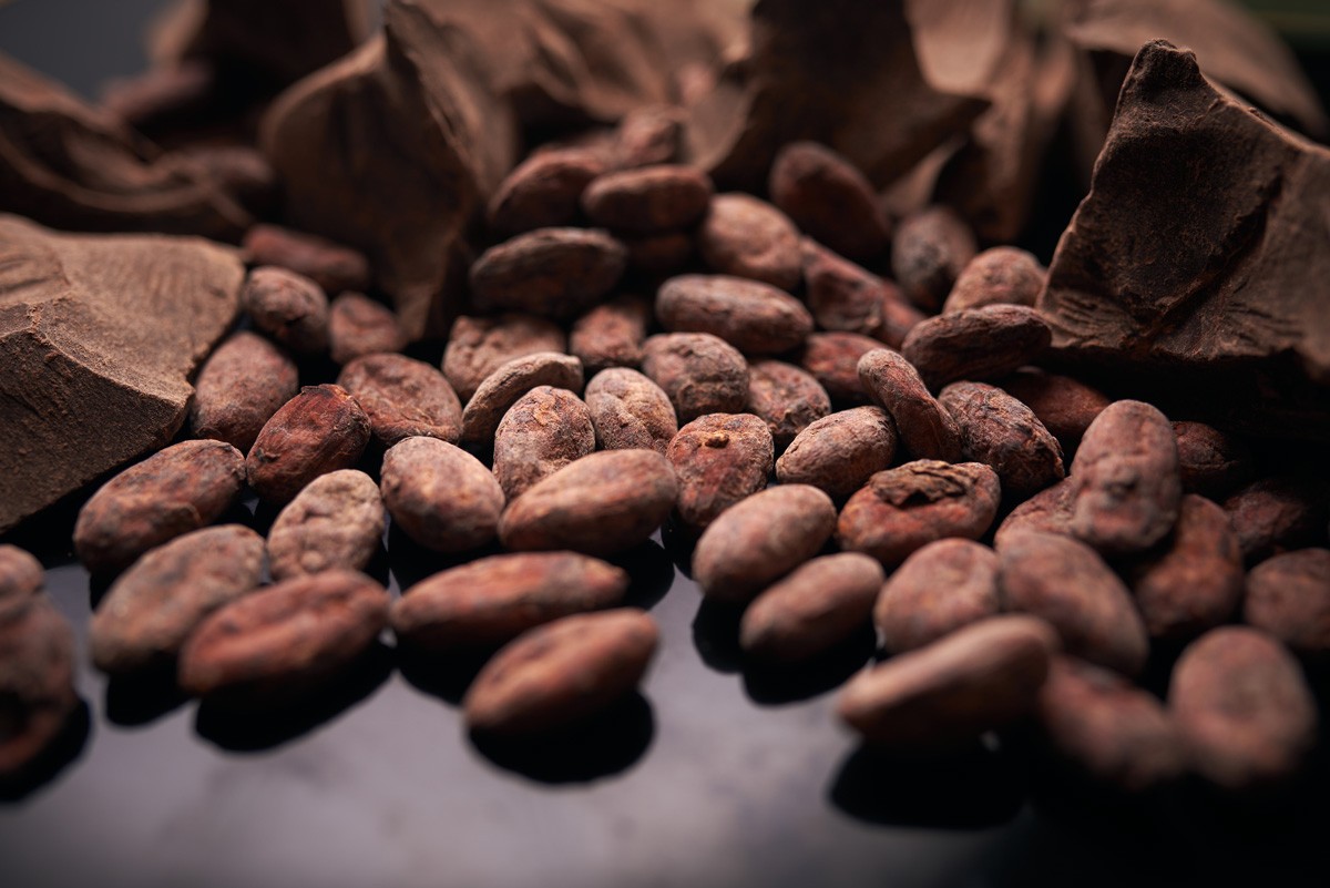 Parsifal-baule-volante-quando-il-packaging-del-cioccolato-si-fa-avvolgente