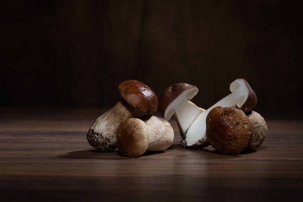 Funghi Valbrenta