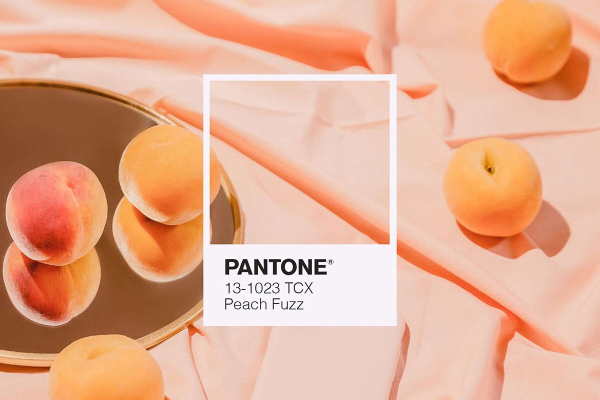 Parsifal-cose-pantone-7-cose-che-forse-non-sai