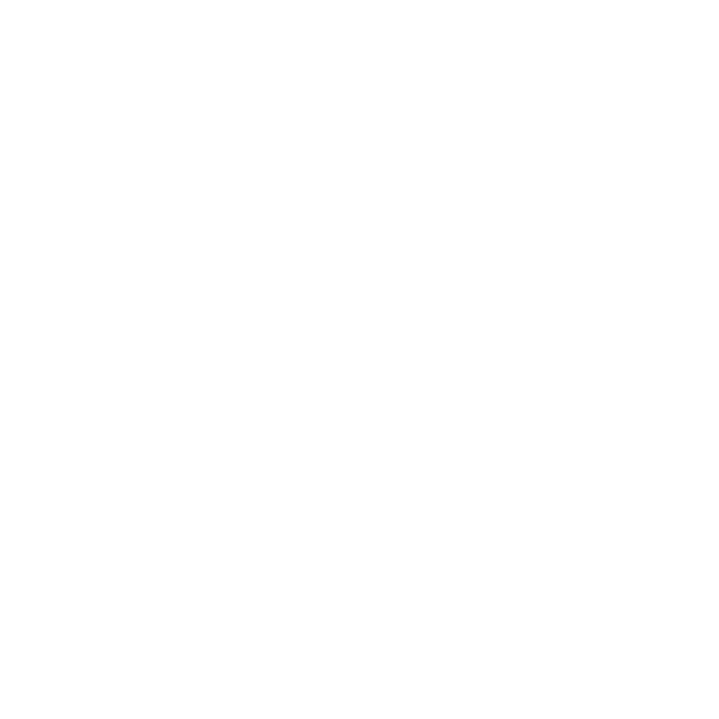 Logo_Partner_consulenza_alfier