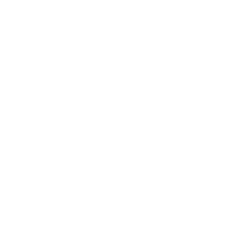 Logo_Partner_consulenza_molinorossetto