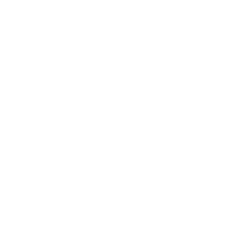 Logo_Partner_consulenza_venetatrasporti