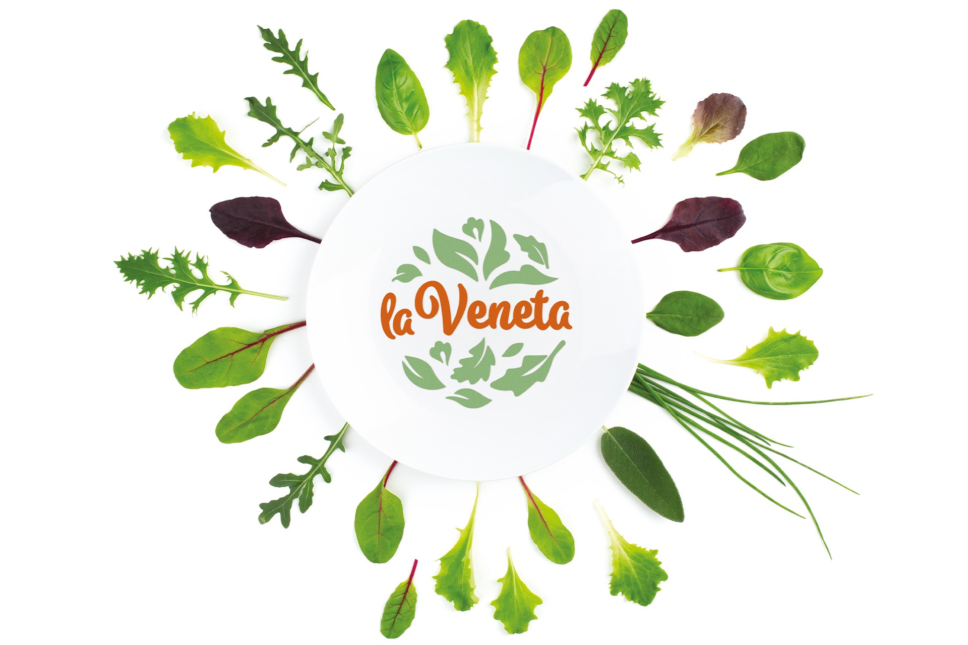La Veneta